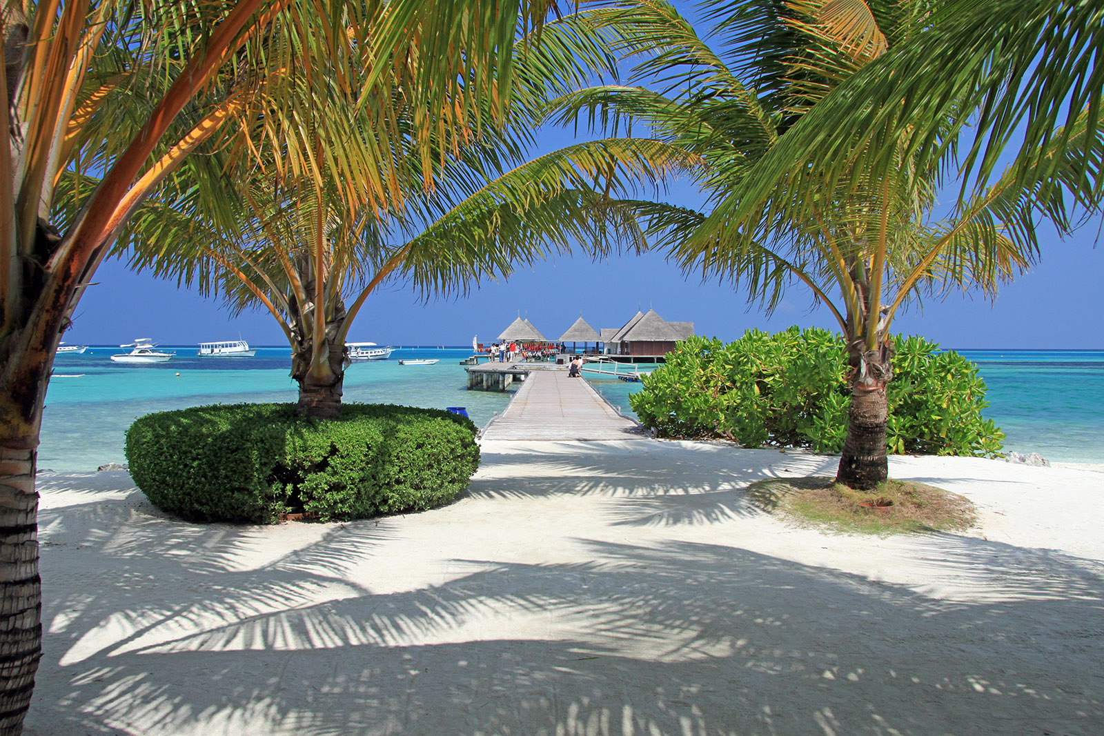 Maldives - 2010